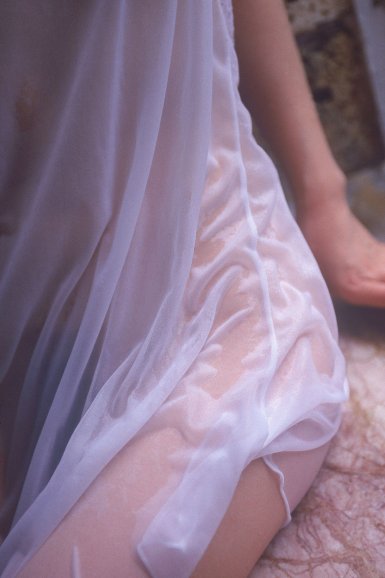 新2官网登录网址